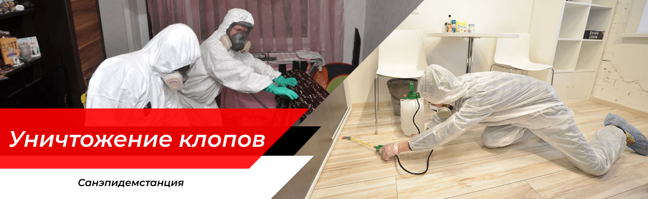 Уничтожение клопов Кольчугино